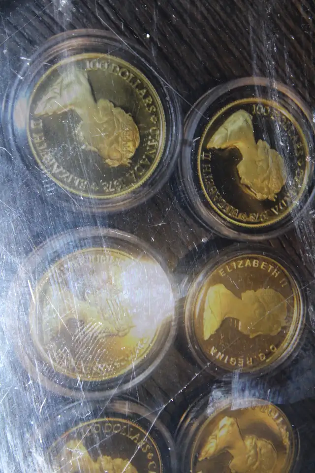 Silver & Gold coins SE area Selling below spot or TRADES see ad - Photo 4