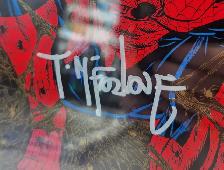 Spider-Man #1 Comic Signed by Todd McFarlane CGC Graded 9.6 - Photo 2