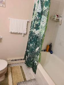 Big size 4.5 in Brossard with new appliances - Photo 6