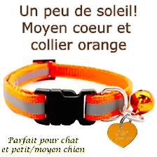 Médaille Gravée Personnalisée pour Chien et Chat $ 5.99 - Photo 9