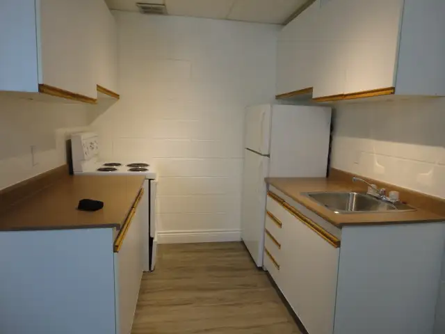 Beautiful 2-Bedroom Apartment - Available on Dec 15 - Photo 3