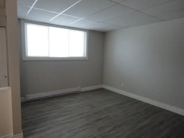 Beautiful 2-Bedroom Apartment - Available on Dec 15 - Photo 4