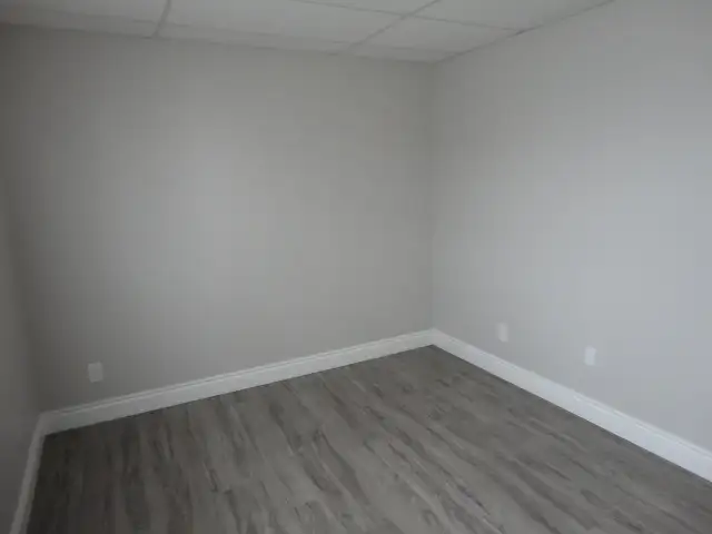 Beautiful 2-Bedroom Apartment - Available on Dec 15 - Photo 7