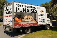 PUNAISES DE LIT.....