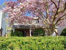 House for sale in Lawrence Park - Which We own on Leased Land