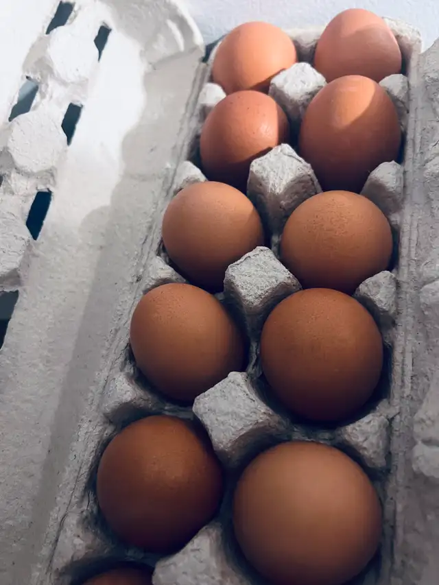 Fresh Farm Eggs