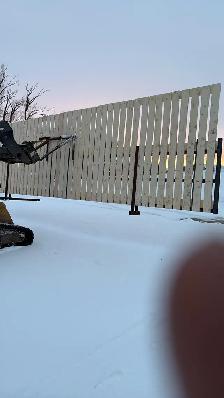 Livestock Equipment - Photo 3