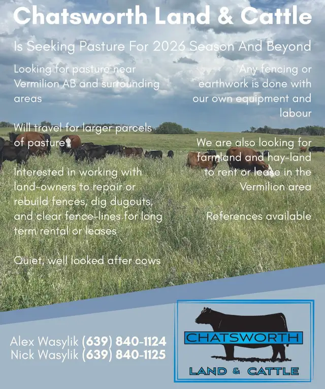 Looking for Pasture - Photo 2