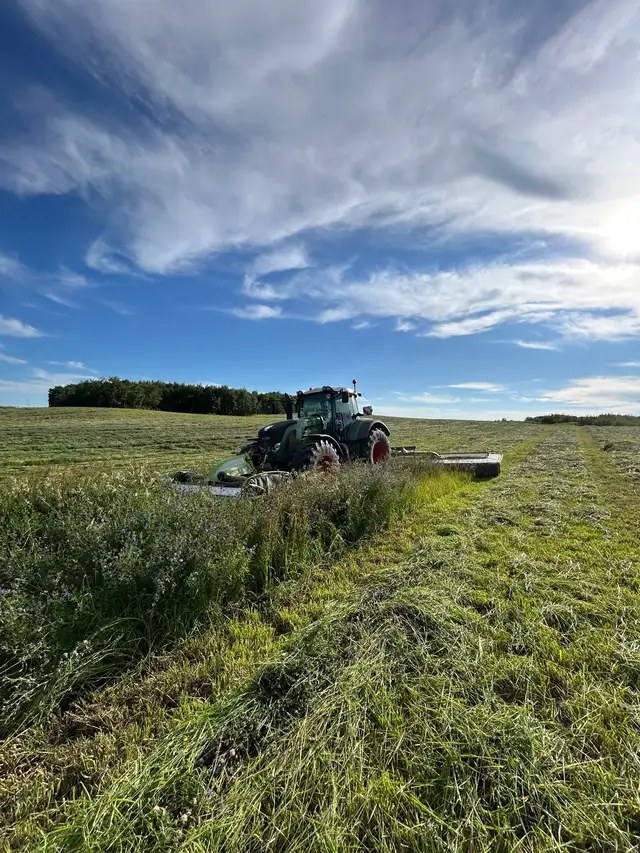 Looking for Pasture - Photo 4