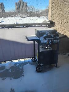 Planning to sun tan and enjoy BBQng after winter is over.