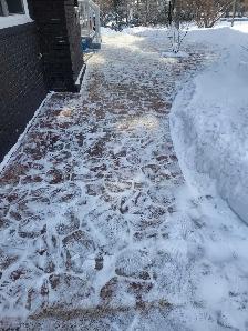 do you need snow removal