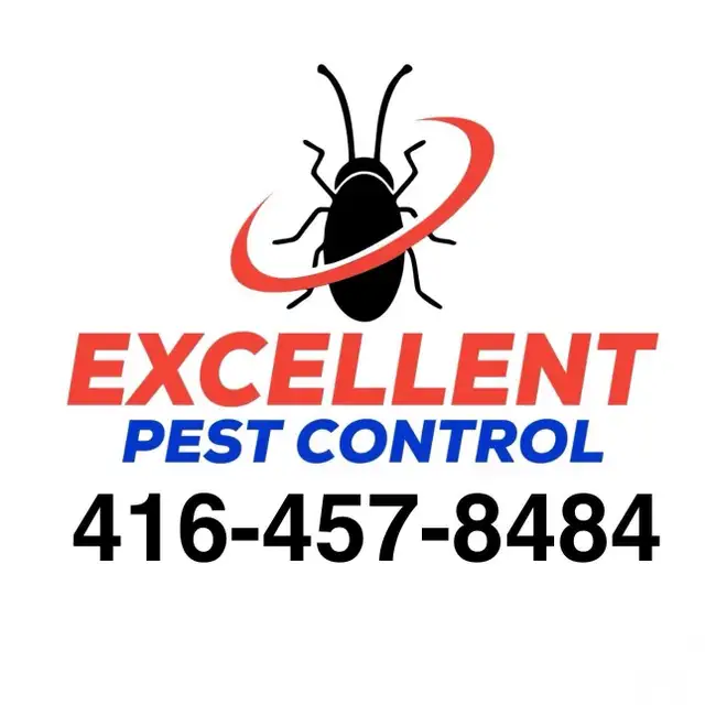 COCKROACHES BEDBUGS MOUSE RAT-ALL PESTS CONTROL@ LOWEST PRICE