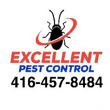 COCKROACHES BEDBUGS MOUSE RAT ALL PESTS CONTROL AT LOWER PRICE