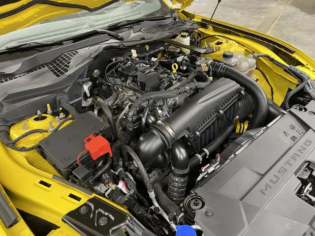 Ford Mustang Ecoboost 2024 - Photo 24