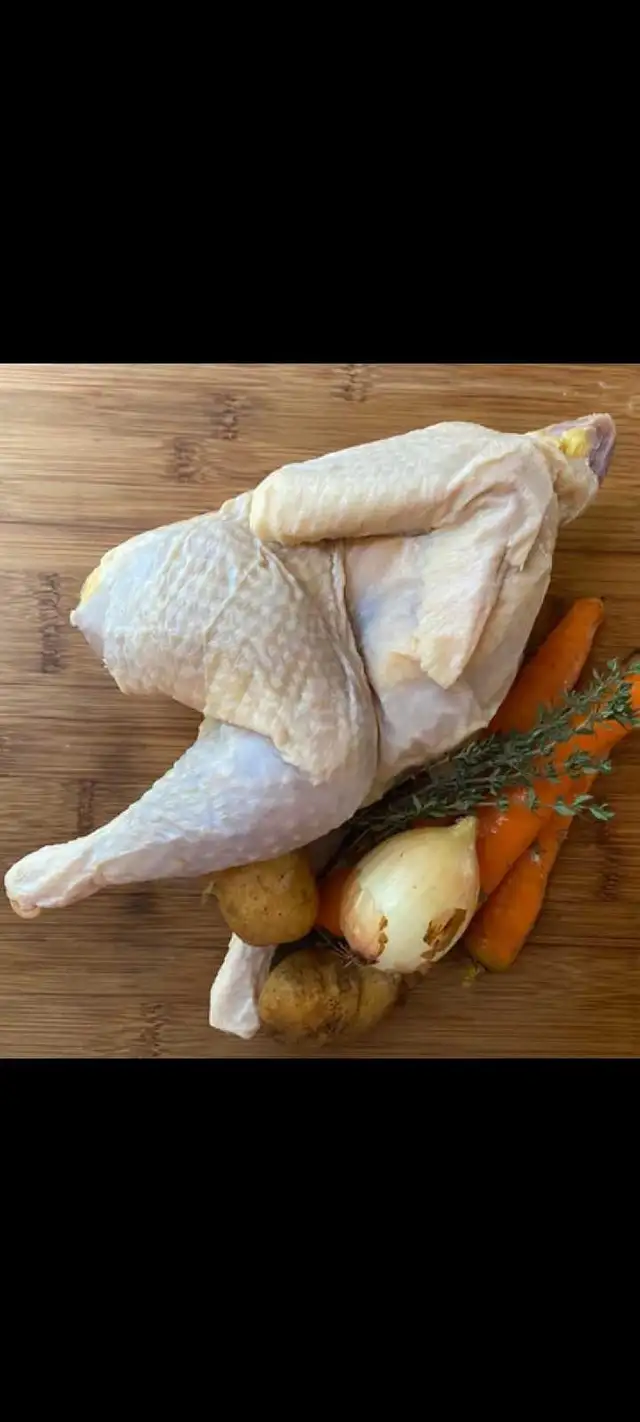 Stewing Hens for Sale