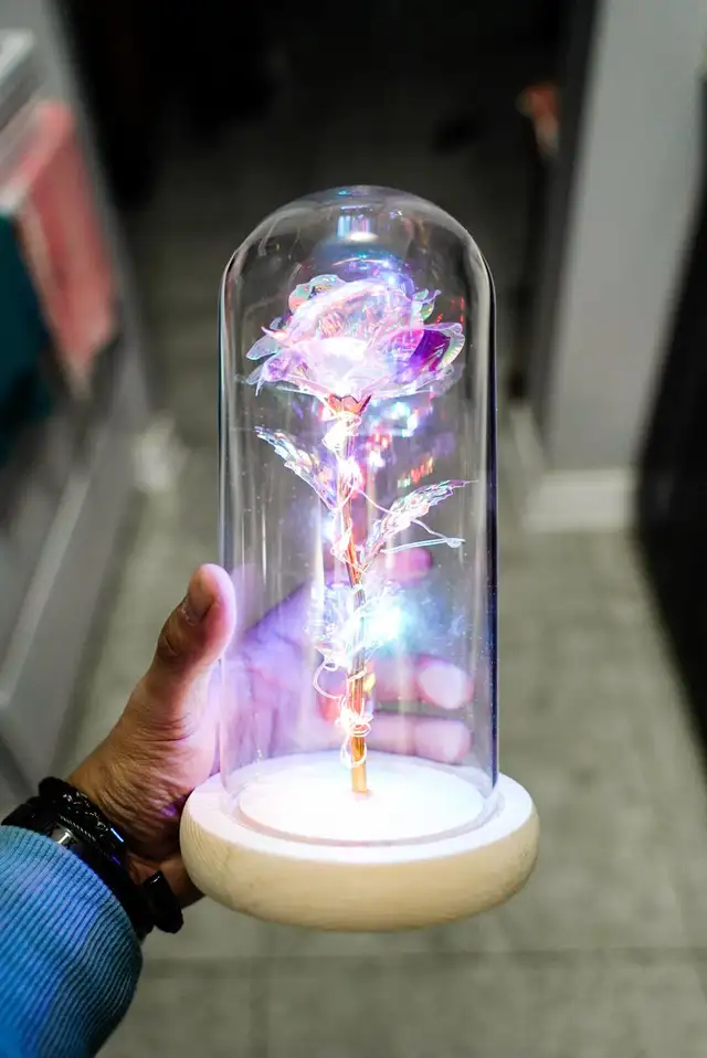 Galaxy Rose / Rose Bear — Valentine's Special Gift