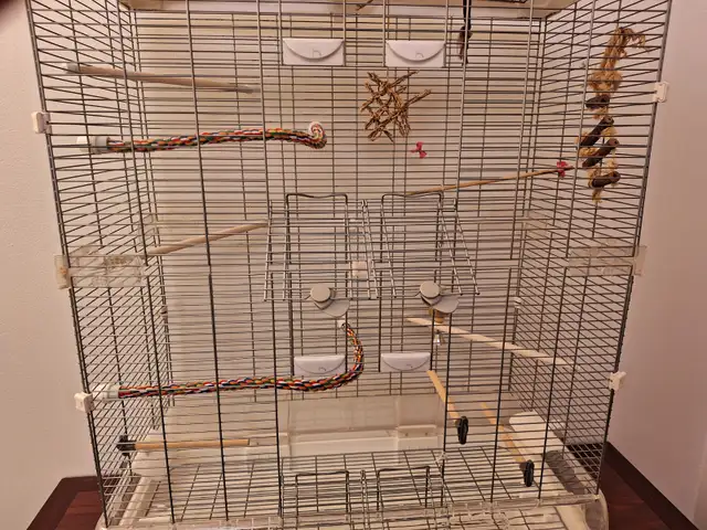 Cage a oiseau Vision - Photo 4