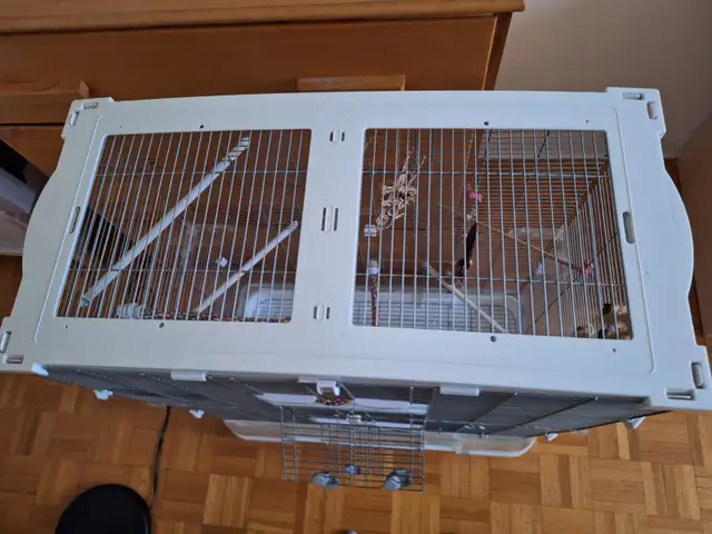 Cage a oiseau Vision - Photo 9