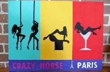 Cabaret Crazy Horse Paris - Photo 8