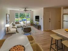 Beautiful 3 Bedroom, 1 Bath Upper Duplex in C'Town (near UPEI) - Photo 3