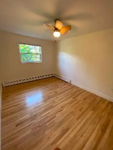 Beautiful 3 Bedroom, 1 Bath Upper Duplex in C'Town (near UPEI) - Photo 7