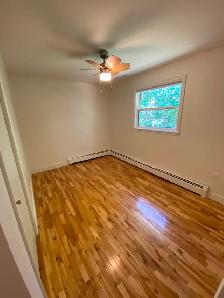 Beautiful 3 Bedroom, 1 Bath Upper Duplex in C'Town (near UPEI) - Photo 8