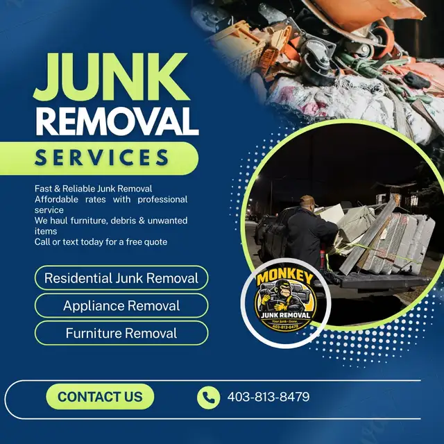 junk removal service