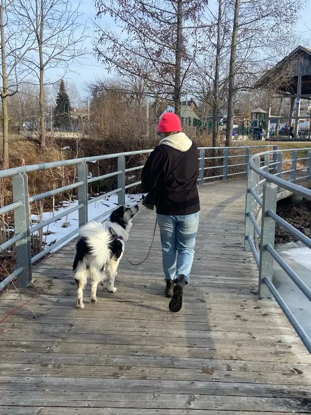 Pawsitive Petcare - Photo 6