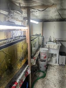 Aquariums  and All things needed for Sale - Photo 5