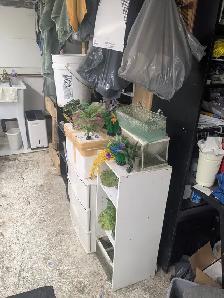 Aquariums  and All things needed for Sale - Photo 6