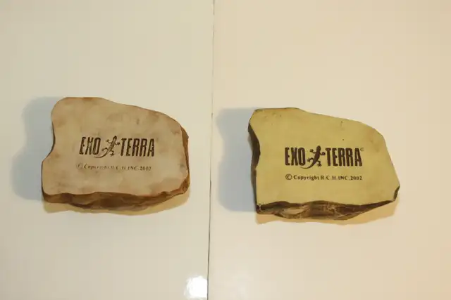 Exo Terra Feed/Water dish - Med - Photo 4