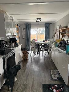 cleaning services - Photo 2