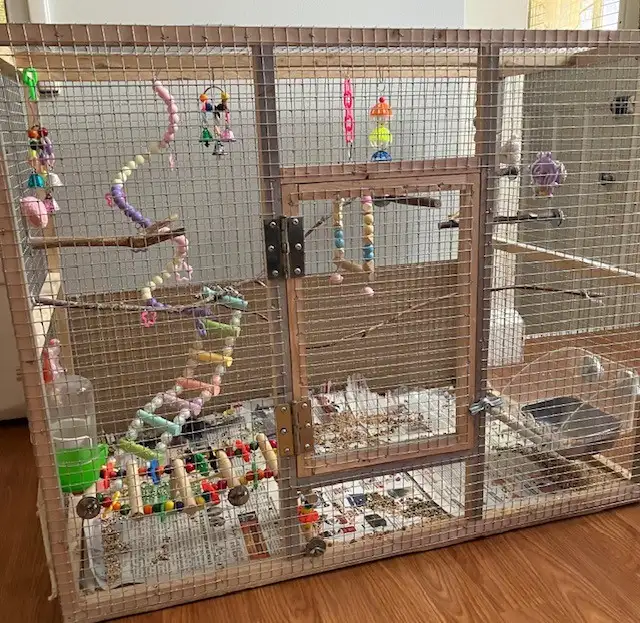 Wood Budgie Cage For Sale $40