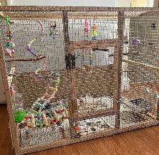 Wood Budgie Cage For Sale $40