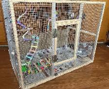 Wood Budgie Cage For Sale $40 - Photo 2