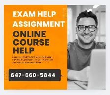 Exam Help Assignment Help Quiz Help Essay Writing All Subjects $