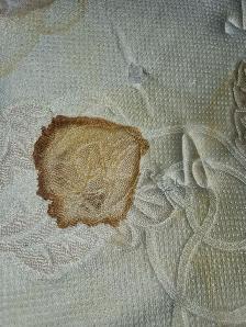 professional full house cleaning and car detailing - Photo 2