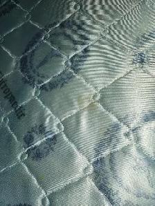 professional full house cleaning and car detailing - Photo 6