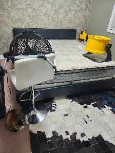 professional full house cleaning and car detailing - Photo 8