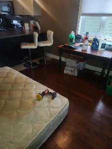 professional full house cleaning and car detailing - Photo 10