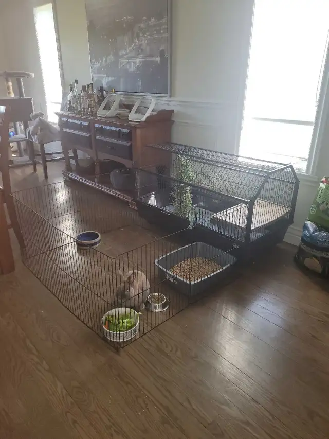Très grande cage avec enclos
