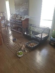 Très grande cage avec enclos