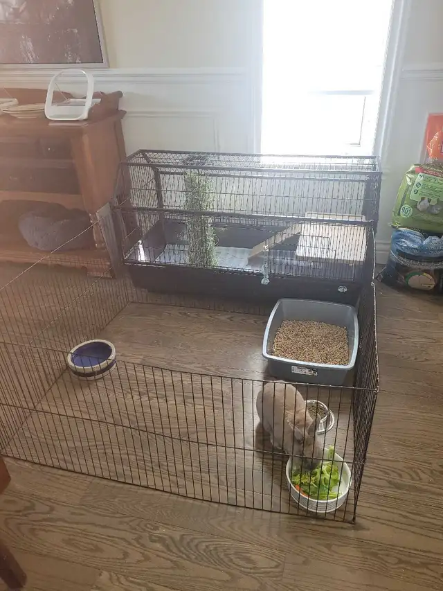 Très grande cage avec enclos - Photo 2