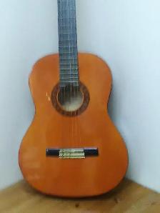 guitard seche Valencia debutante