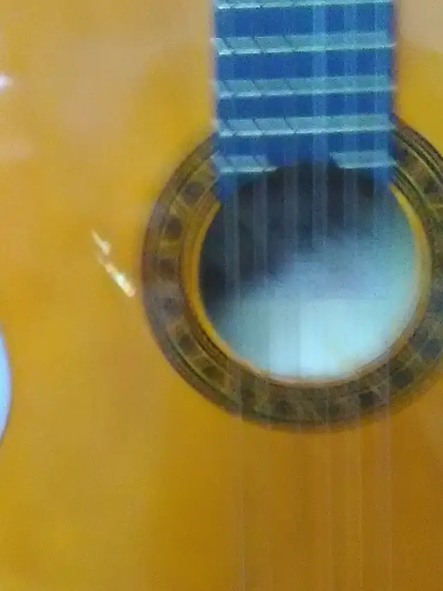 guitard seche Valencia debutante - Photo 2