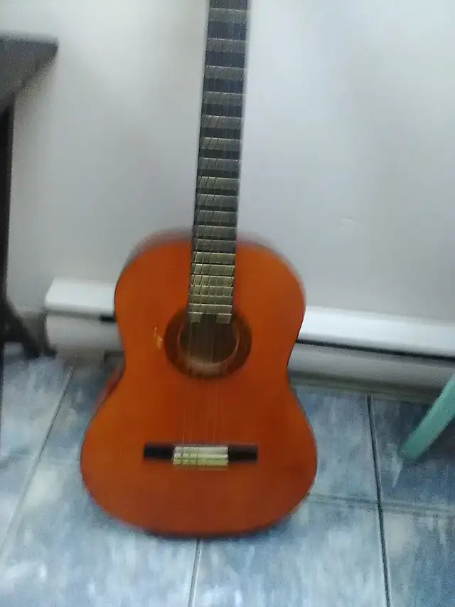 guitard seche Valencia debutante - Photo 3