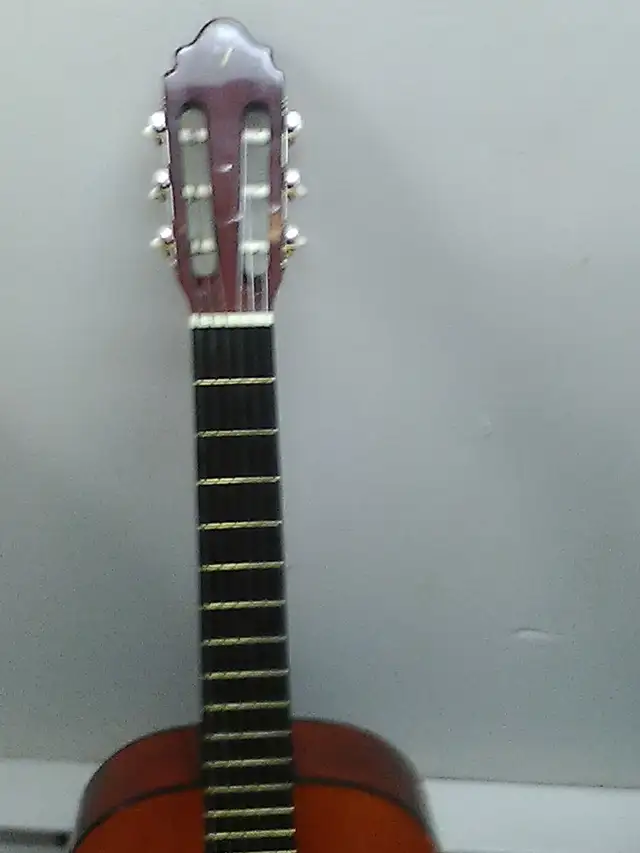 guitard seche Valencia debutante - Photo 4