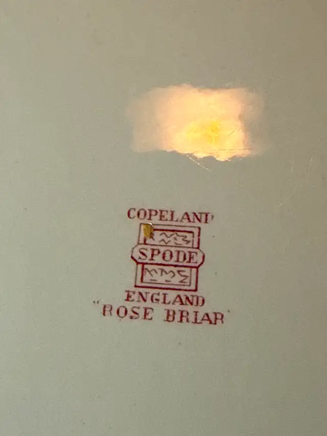 Vintage Copeland Spode Rose Briar Lg Platter - Photo 3