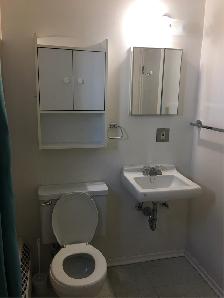 1 Bed 1 Bath Apartment - Photo 9