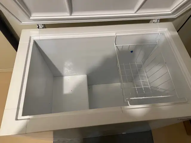 Deep Freeze - Photo 2